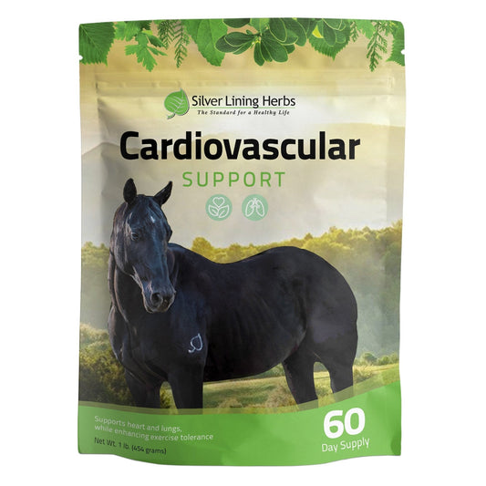 Cardiovascular Support for Horses - Silver Lining Herbs