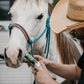 Colic Eaz for Horses - Silver Lining Herbs