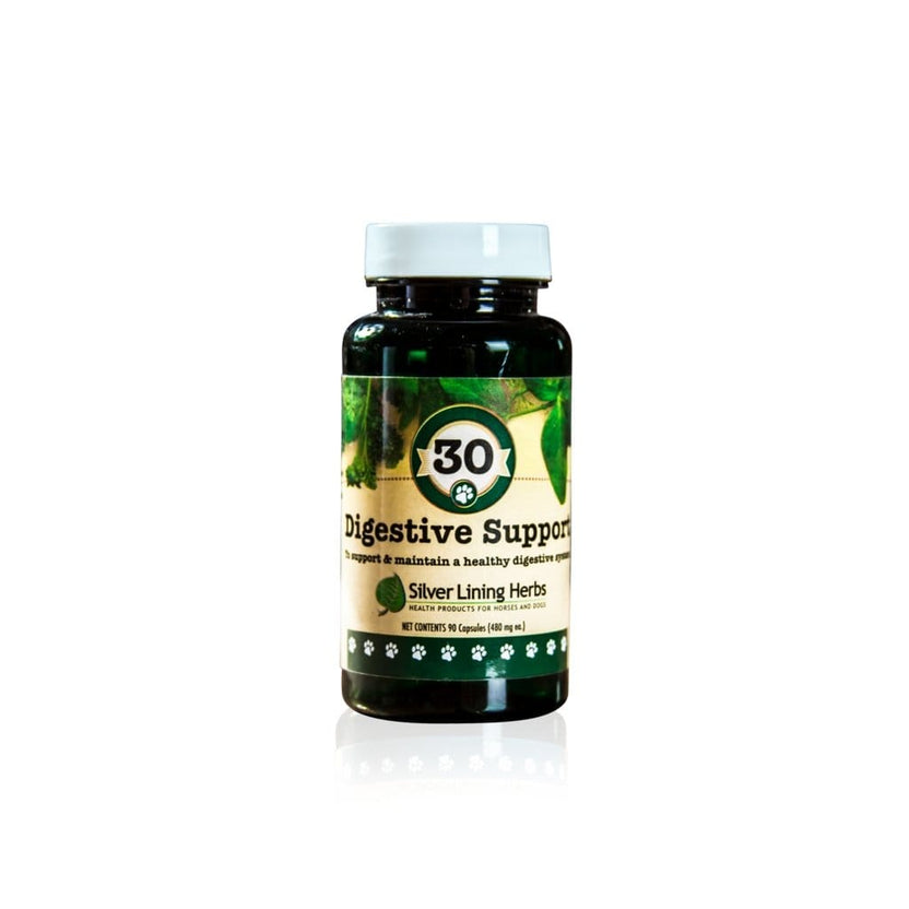 SILVER LINING HERBS CANINE DIGESTIVE SUPPORT