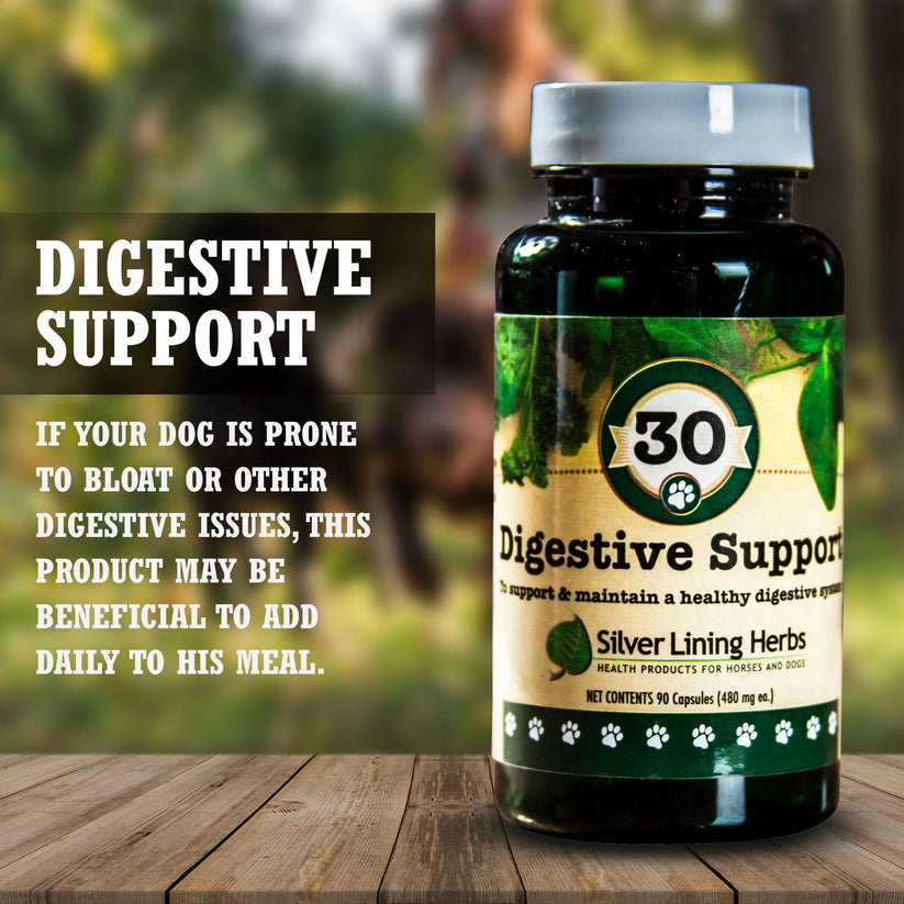 Digestive Support for Dogs & Puppies SilverLining Herbs Silver