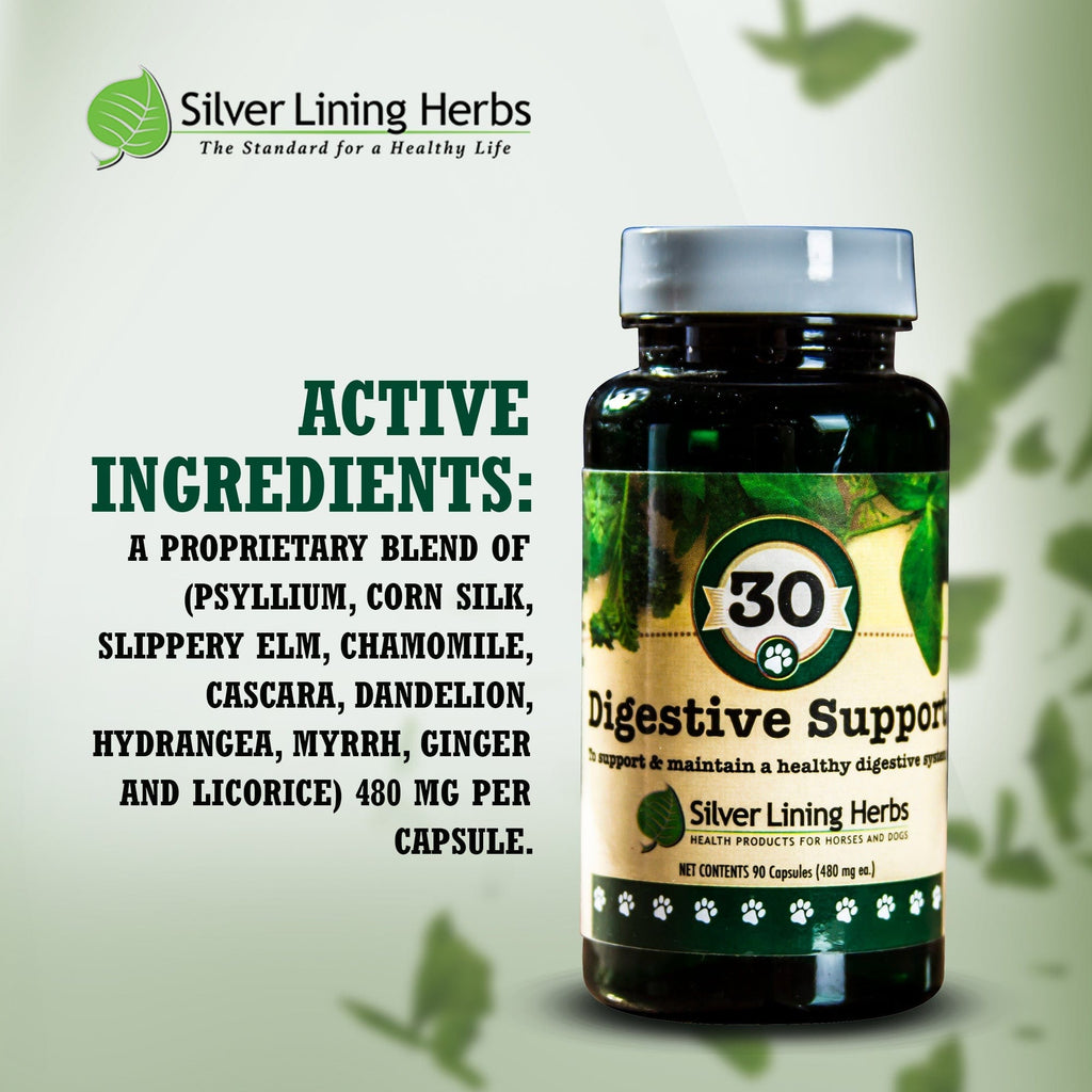 Digestive Support for Dogs - Silver Lining Herbs