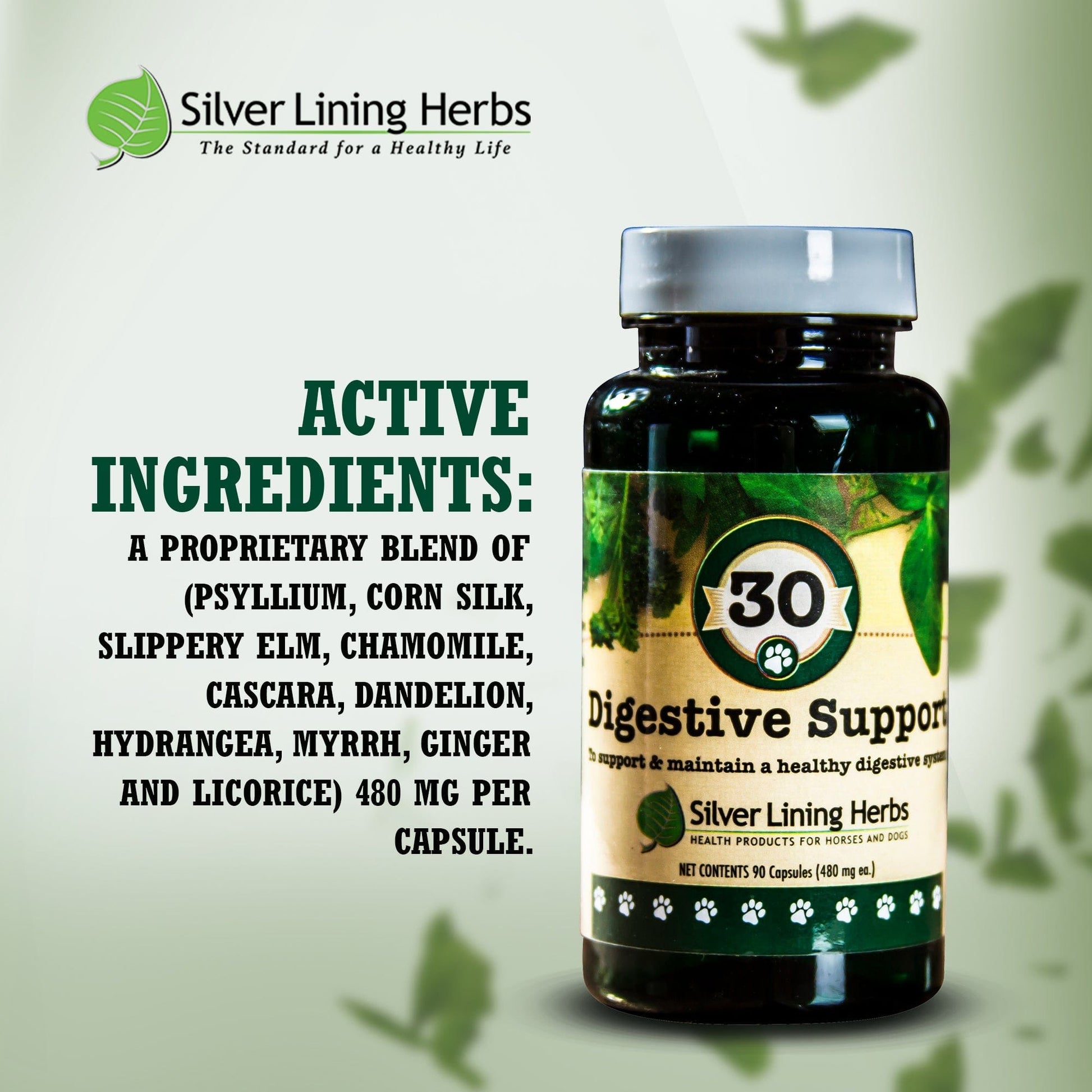 Digestive Support for Dogs - Silver Lining Herbs