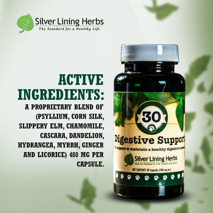 Digestive Support for Dogs - Silver Lining Herbs