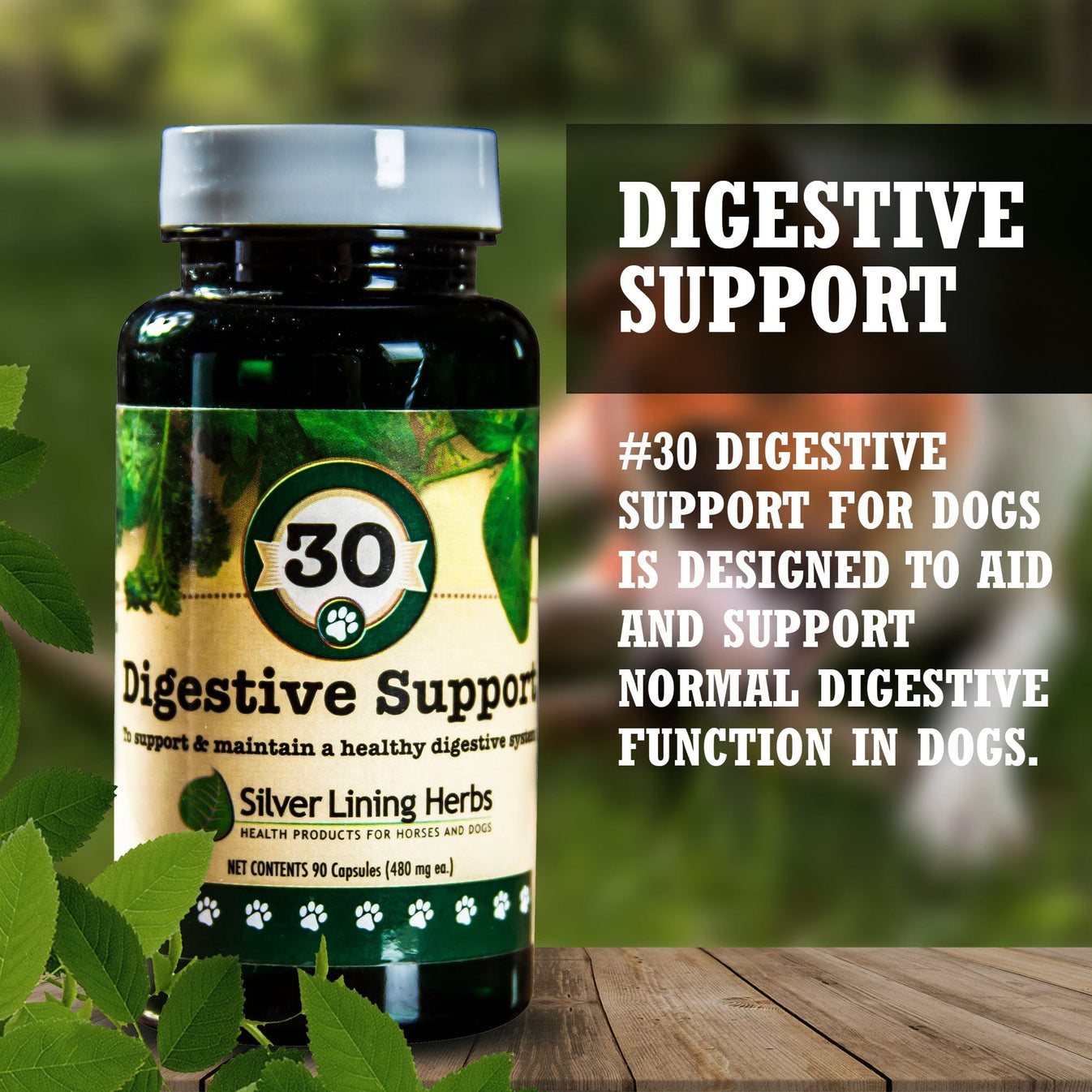 Digestive Support for Dogs & Puppies SilverLining Herbs Silver