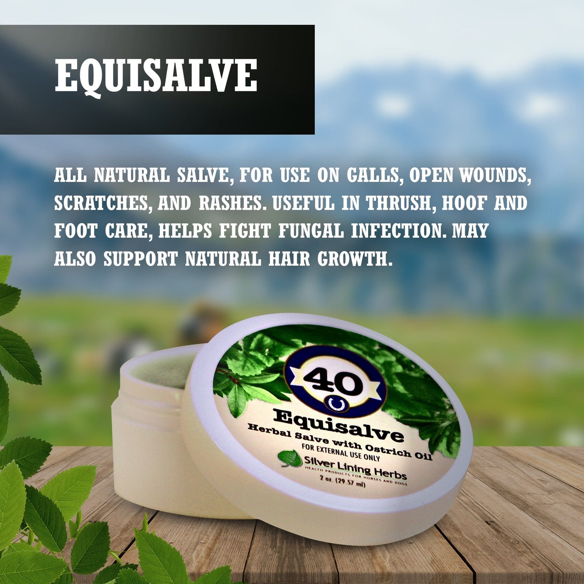 Equisalve - Silver Lining Herbs