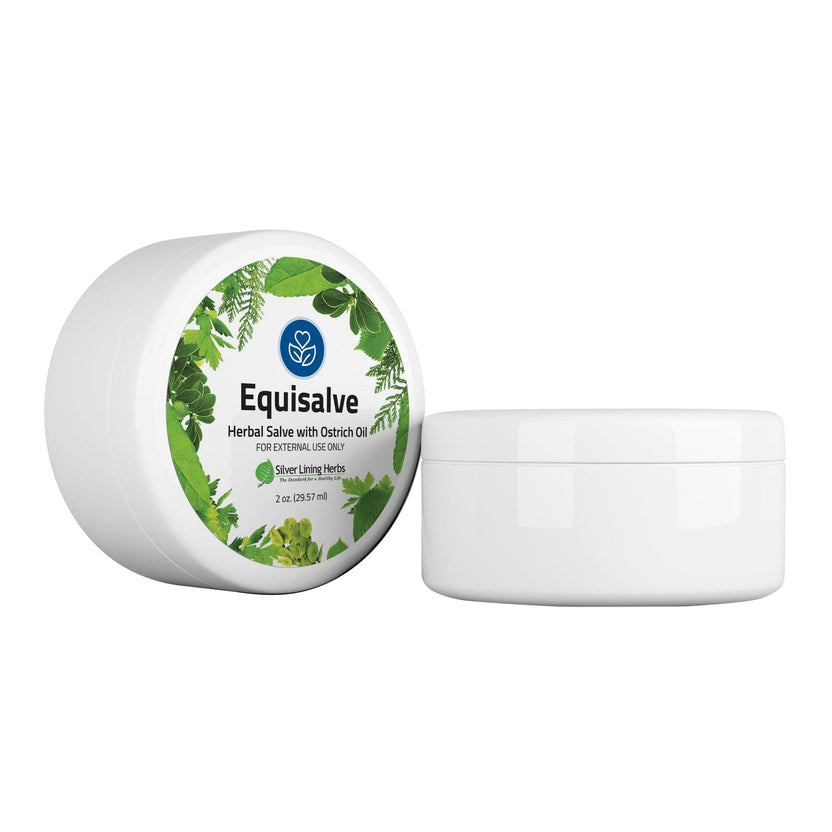 SILVER LINING HERBS EQUISALVE