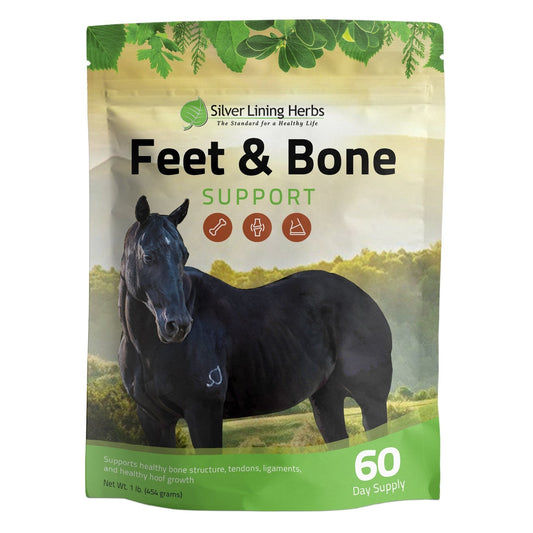 Feet & Bone Support for Horses - Silver Lining Herbs