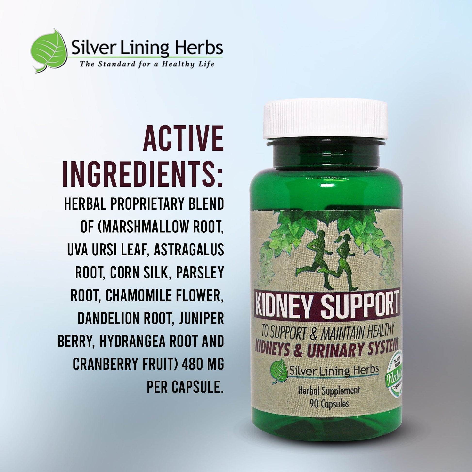 Herbal Kidney Support - Silver Lining Herbs