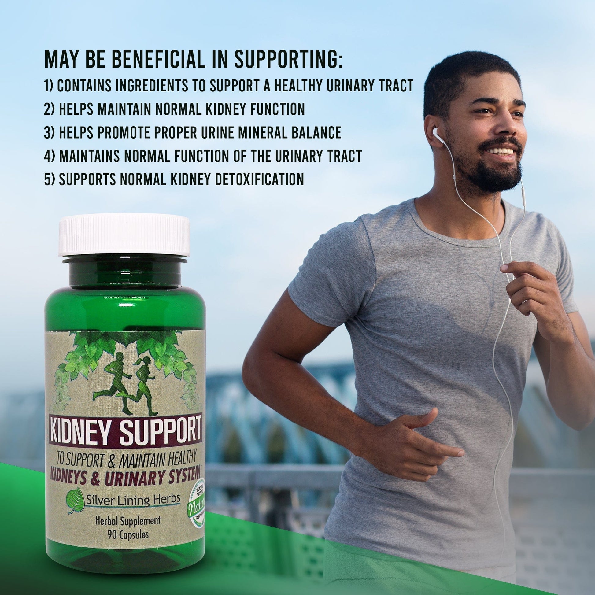 Herbal Kidney Support - Silver Lining Herbs