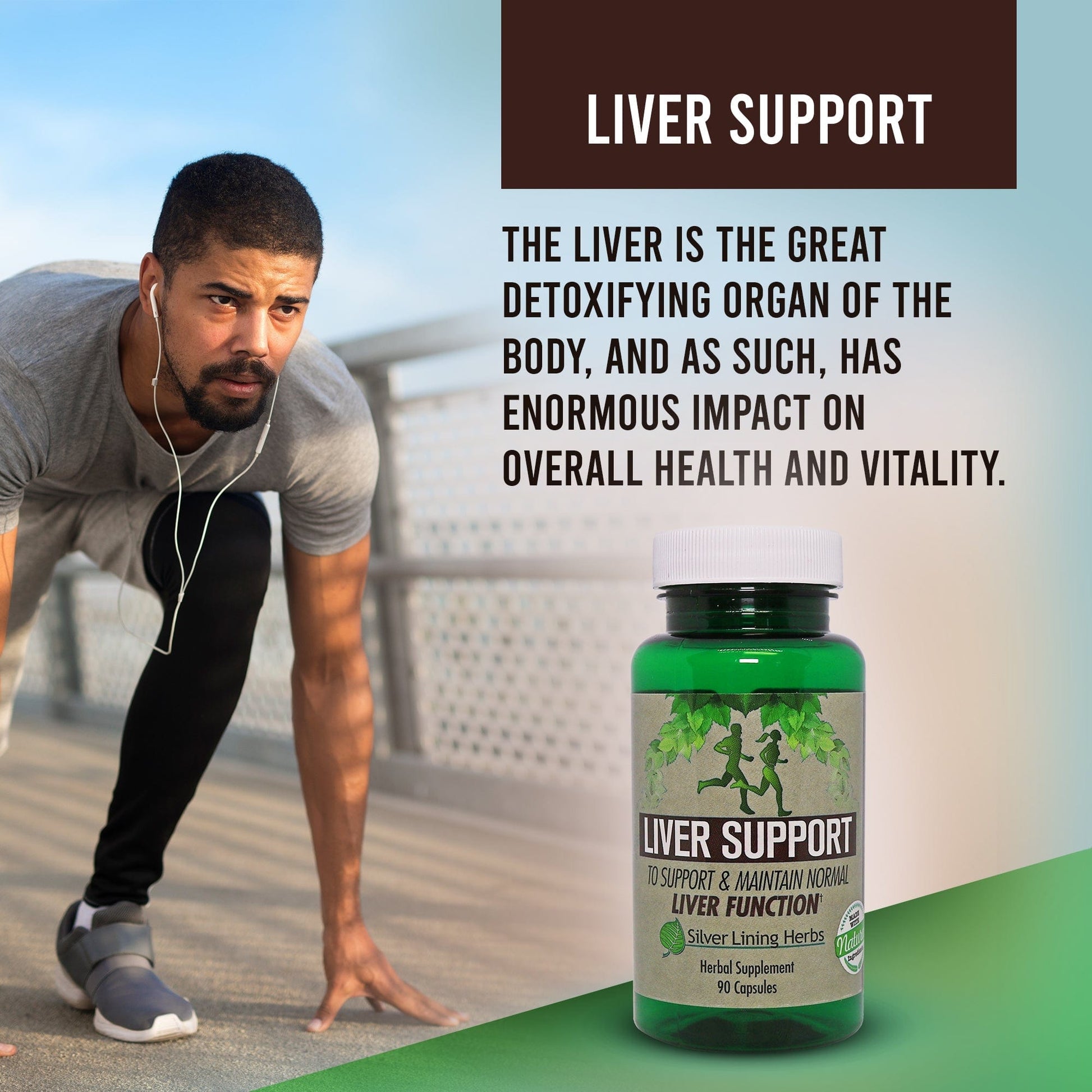 Herbal Liver Support - Silver Lining Herbs