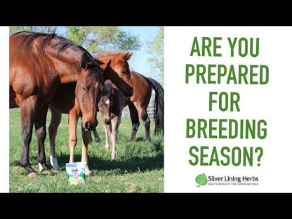 herbs in Mare Fertility