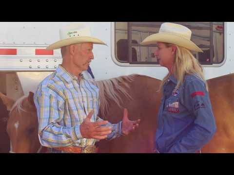 Infla-aid for Horses