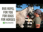 Bug Repel