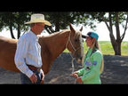 Joint Support for Horses