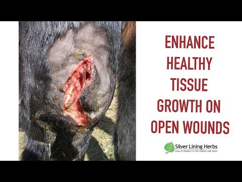 Power Dust for Horses