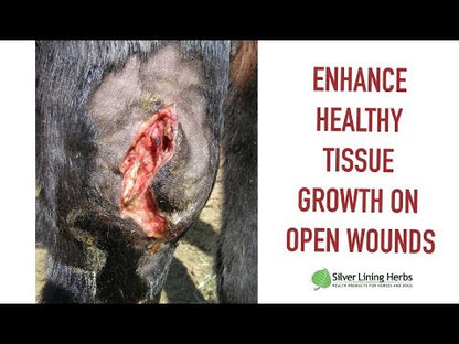 Power Dust for Horses
