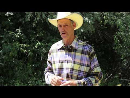 Kidney Support for Horses