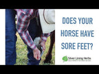 Laminae Support for Horses