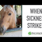 INF-X for Horses