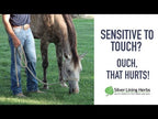 HRP for Horses
