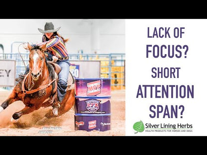 Brain & Nerve Support for Horses