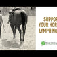Lymphatic Support for Horses