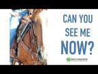 Bright Eyes for Horses