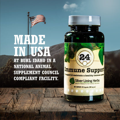 Immune Support for Dogs - Silver Lining Herbs