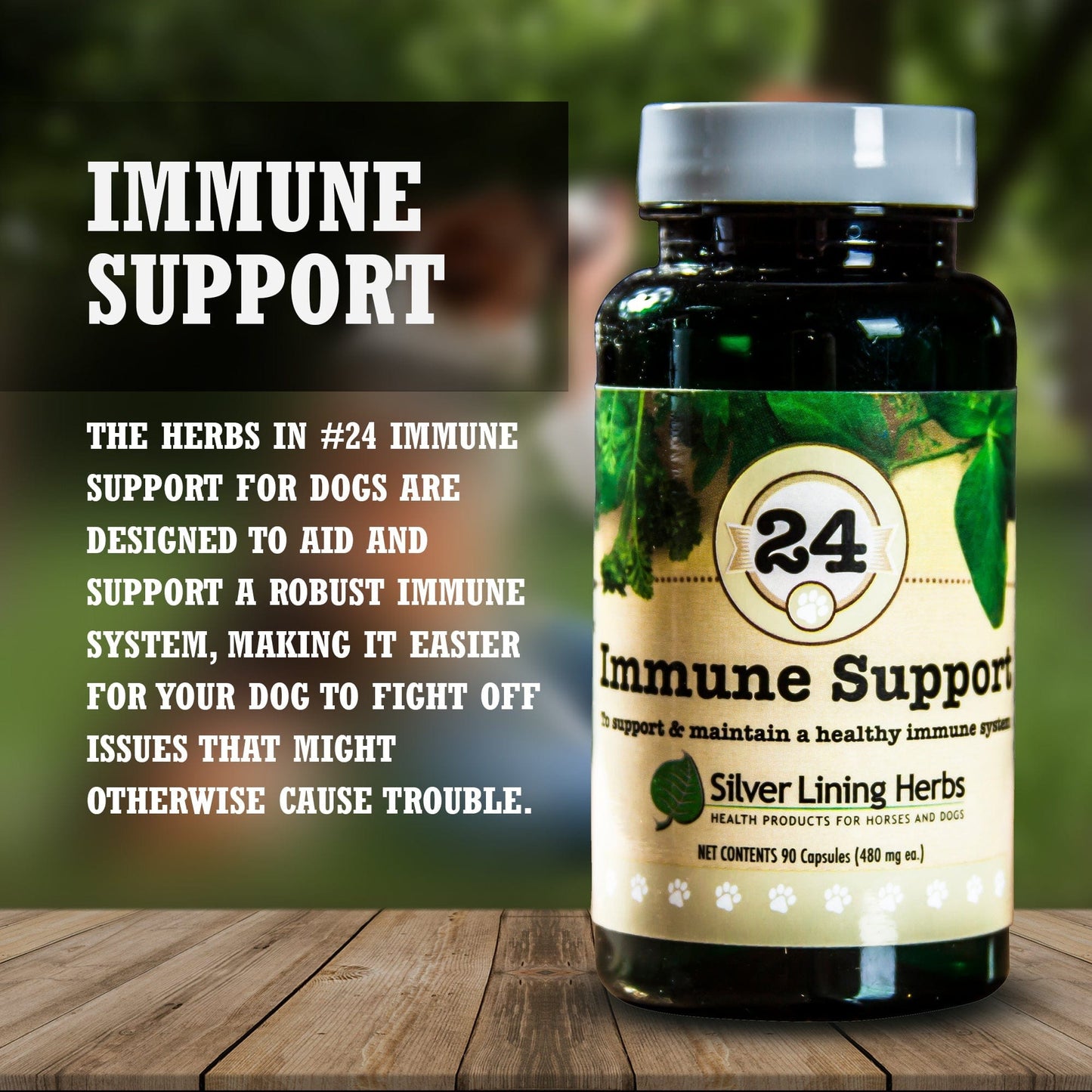 Immune Support for Dogs - Silver Lining Herbs