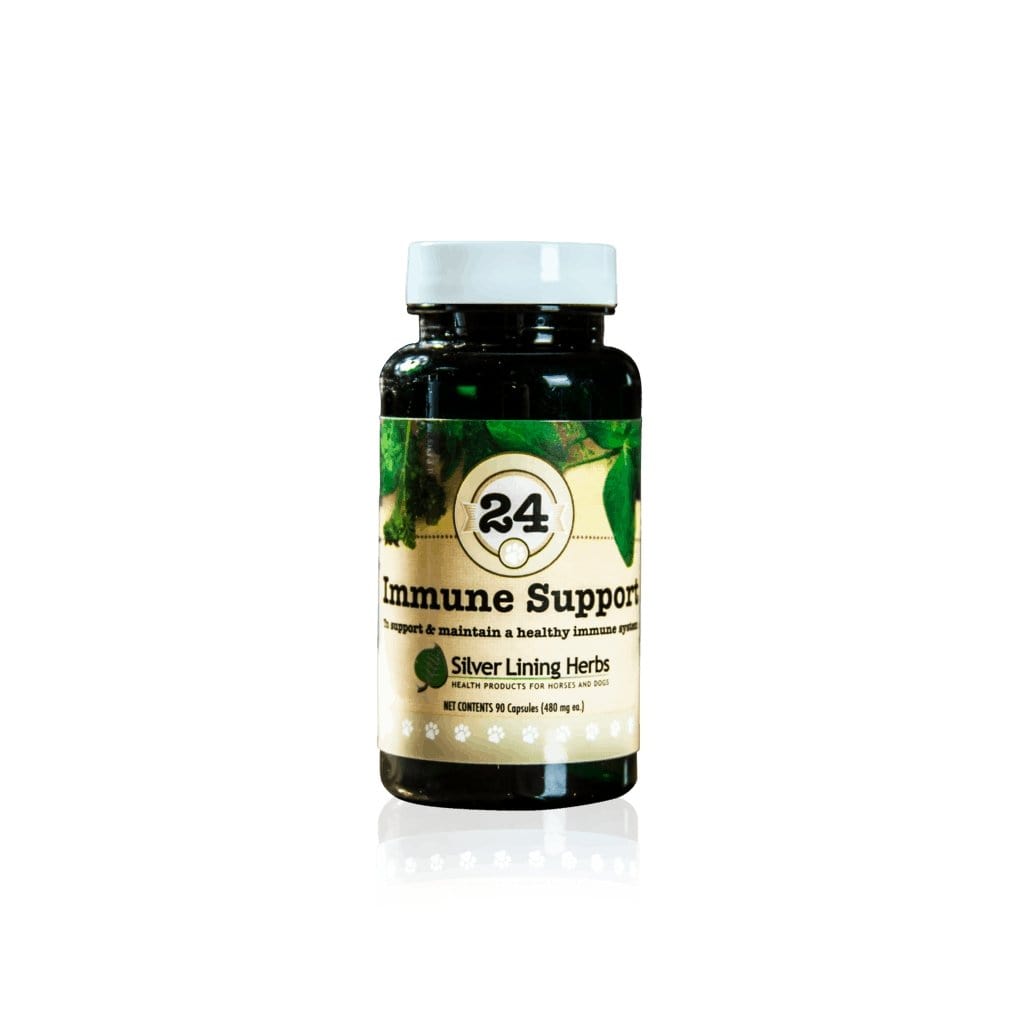 Immune Support for Dogs - Silver Lining Herbs
