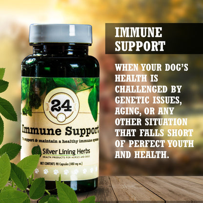 Immune Support for Dogs - Silver Lining Herbs