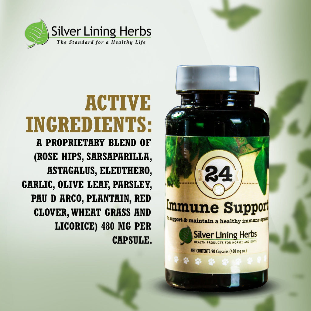 Immune Support for Dogs - Silver Lining Herbs