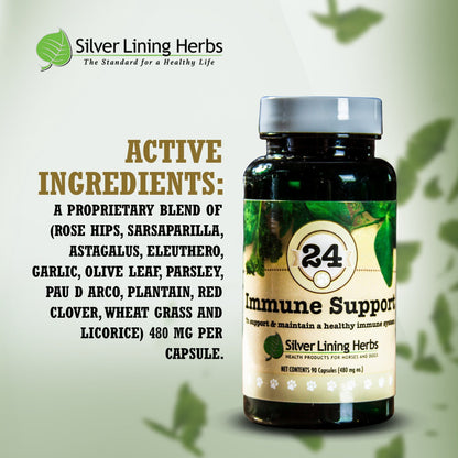 Immune Support for Dogs - Silver Lining Herbs