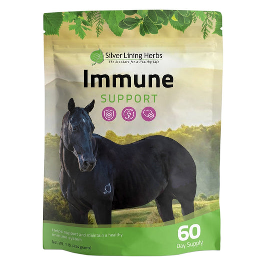 Immune Support for Horses - Silver Lining Herbs