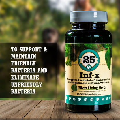 INF-X for Dogs - 90 Capsules - Silver Lining Herbs
