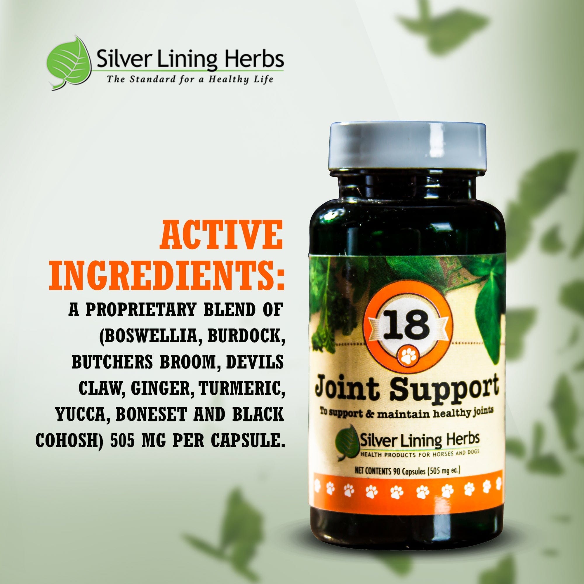 Joint Support for Dogs - Silver Lining Herbs