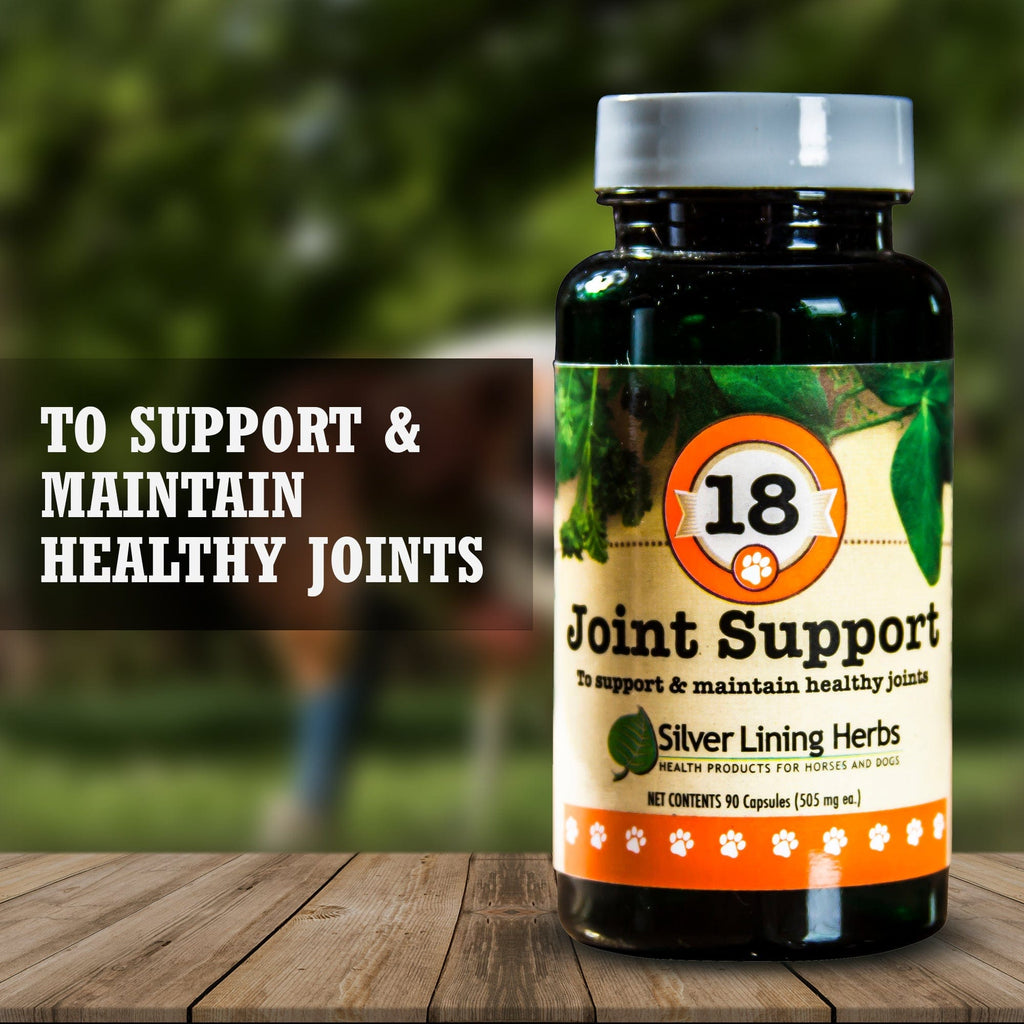 Joint Support for Dogs - Silver Lining Herbs