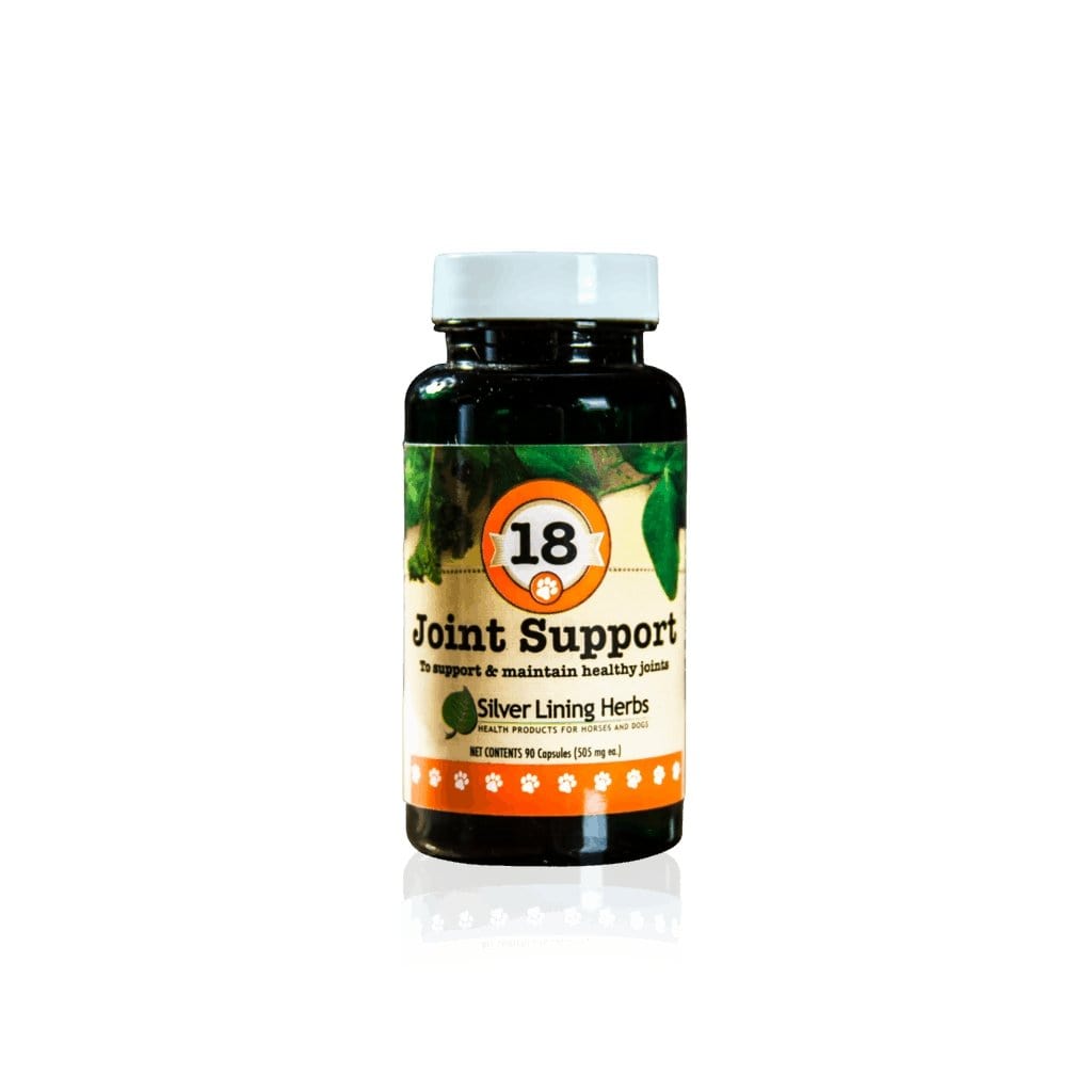 Joint Support for Dogs - Silver Lining Herbs