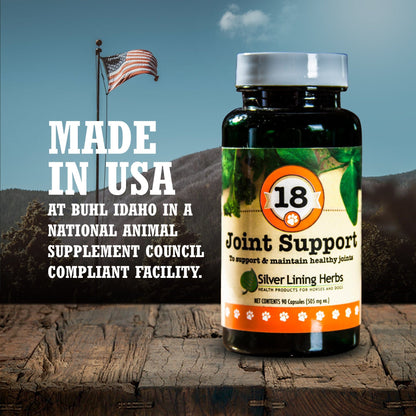 Joint Support for Dogs - Silver Lining Herbs