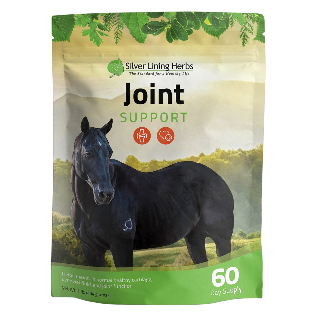 Joint Support for Horses - Silver Lining Herbs