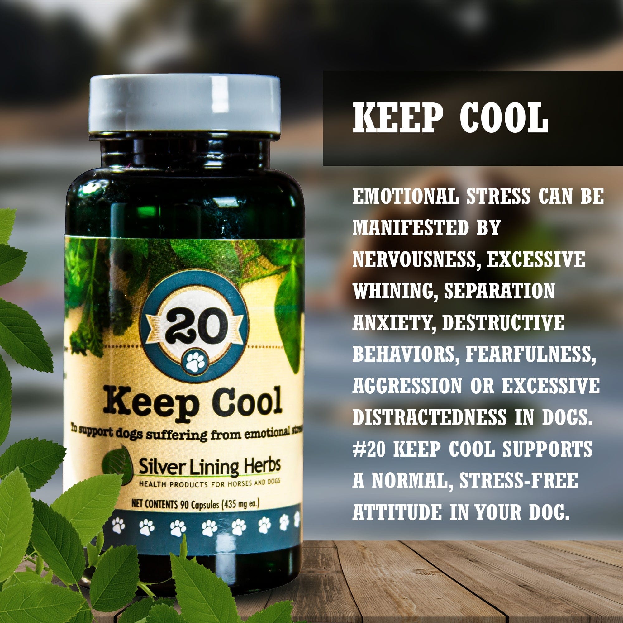 Keep Cool for Dogs - Silver Lining Herbs