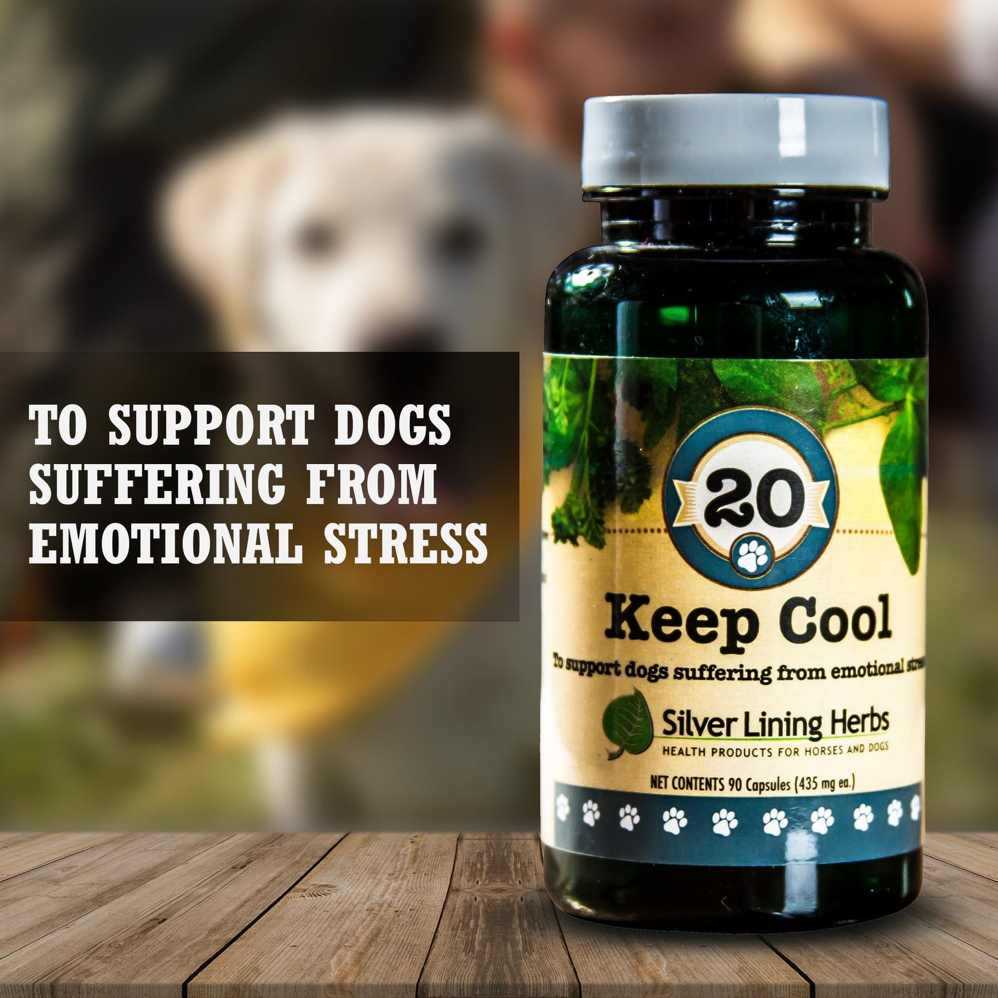 Keep Cool for Dogs - Silver Lining Herbs