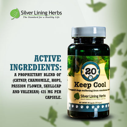 Keep Cool for Dogs - Silver Lining Herbs