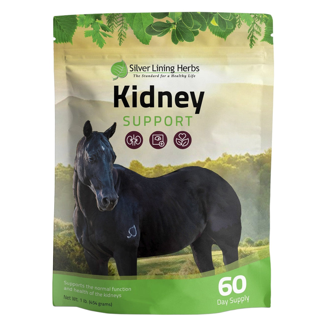 Herbal Kidney Support for Horses Strengthen Kidneys Silver Lining Herbs
