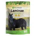 Laminae Support for Horses - Silver Lining Herbs