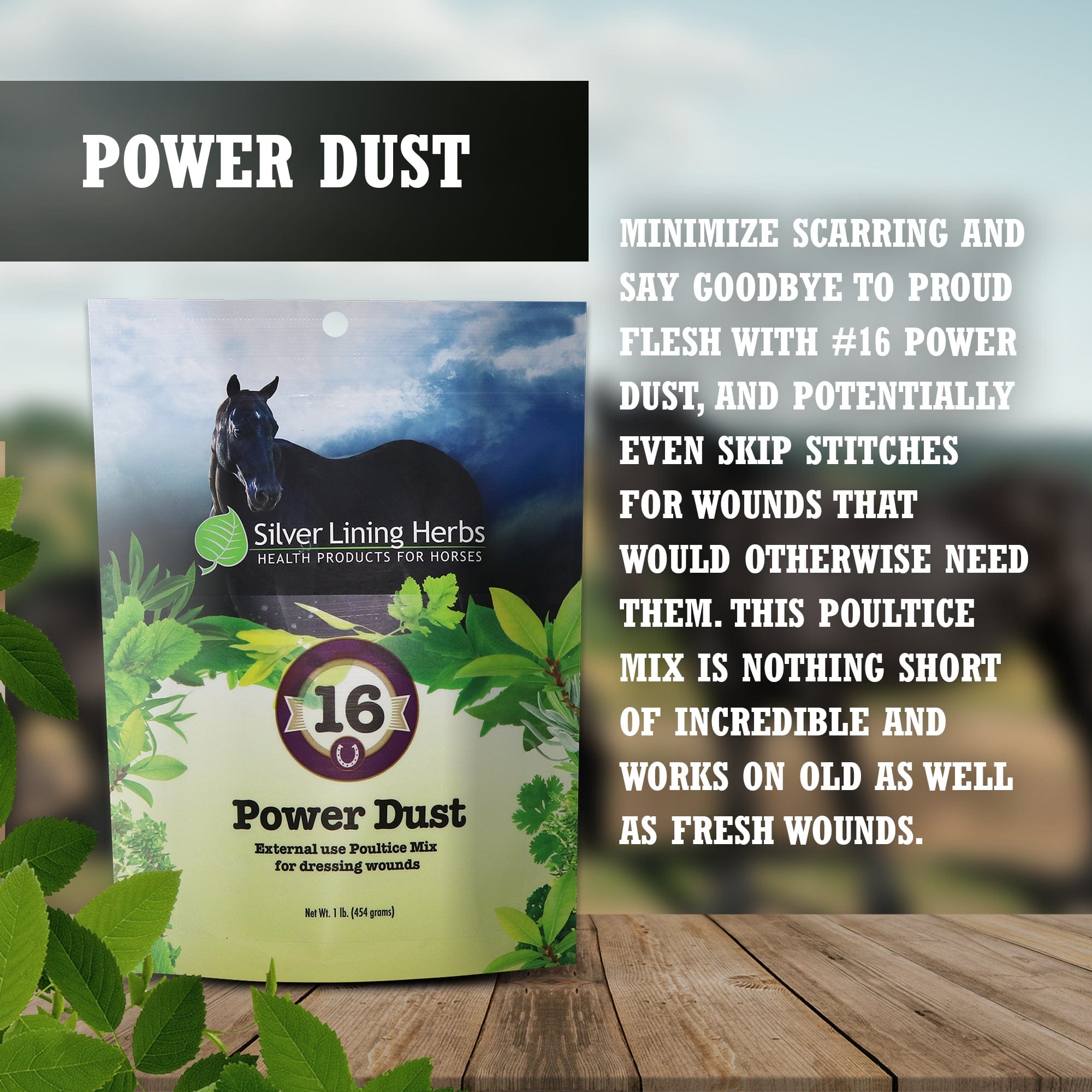 Power Dust for Horses - Wound Care - Silver Lining Herbs
