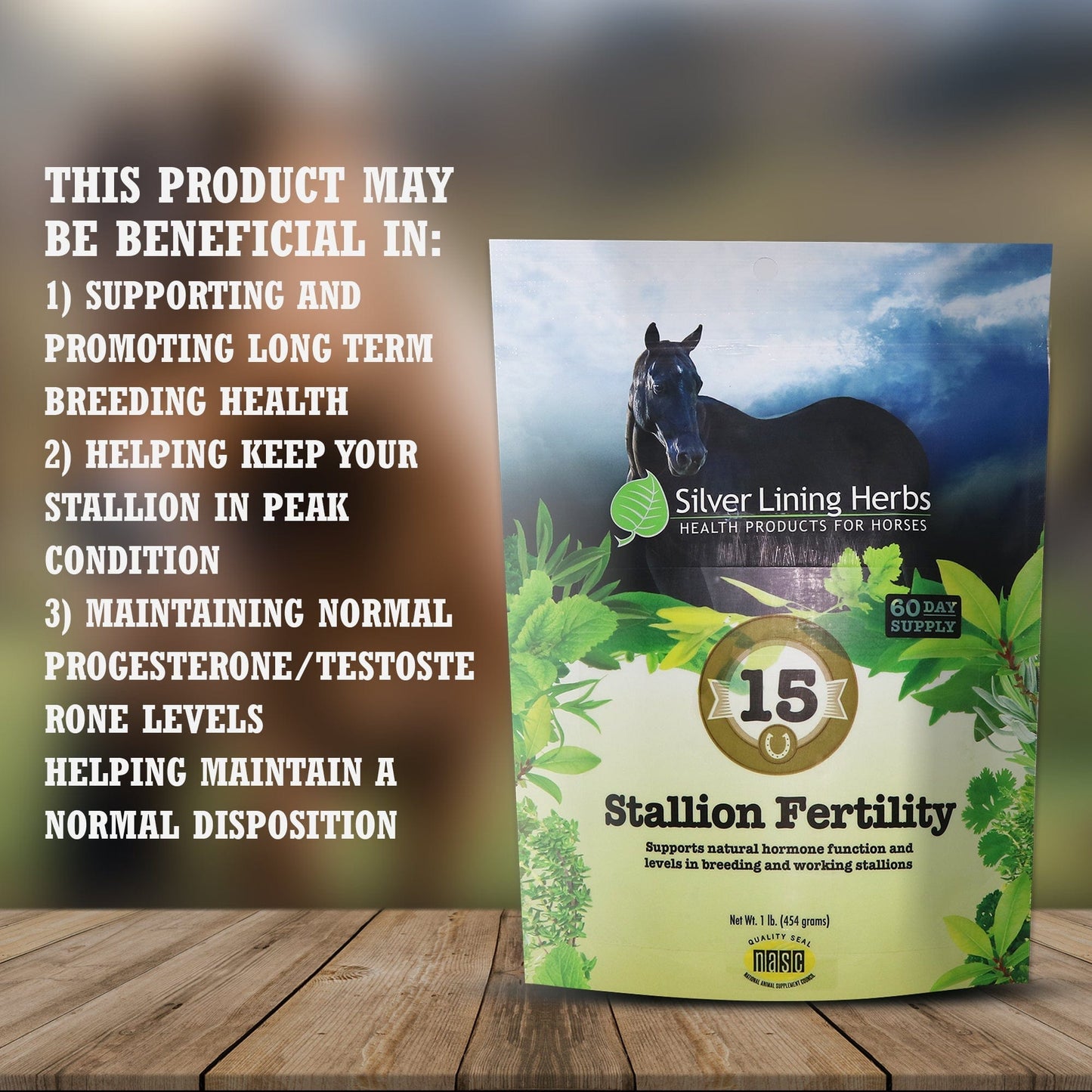 Stallion Fertility - Silver Lining Herbs