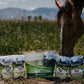 The Ultimate Equine Healthy Living Bundle - Silver Lining Herbs
