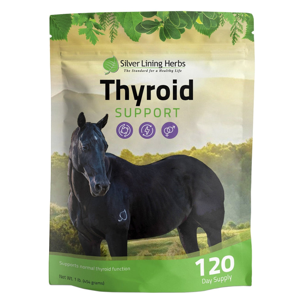 Thyroid Support for Horses Natural Herbs Silver Lining Herbs