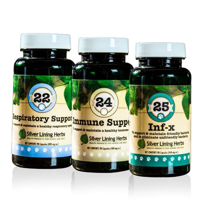 Winter Bundle for Dogs - Silver Lining Herbs